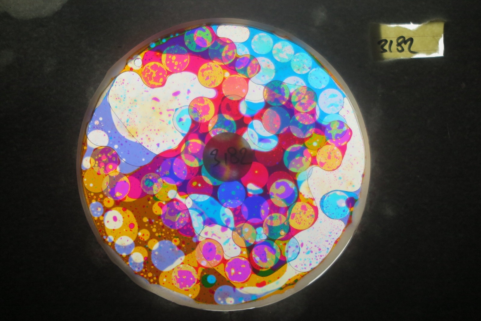 BV3182 bubble vision oil wheel